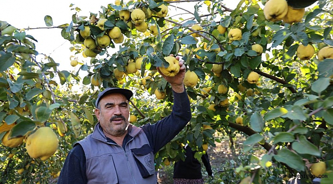 Rusya'nın Ayvası Kahramanmaraş'tan