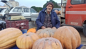 71 Yaşında Ekmeğinin Peşinde