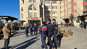 İki Hükümlü Jandarma Tarafından Yakalandı