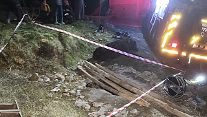 Kahramanmaraş'ta foseptik kuyusuna düşen eşeği itfaiye kurtardı