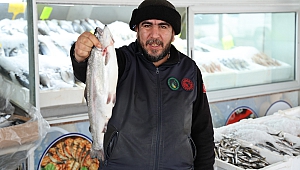 Denize kıyısı olmayan şehirde bu yıl 6 bin ton balık üretildi