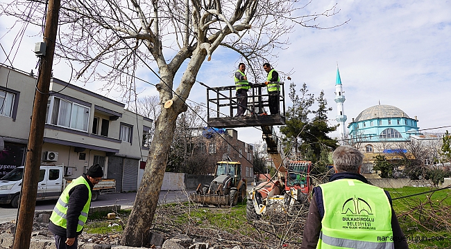 Dulkadiroğlu’nda Budanan Ağaçlar Sosyal Yardıma Dönüşüyor