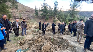 Yanan ormanlık alanları basın mensupları yeşertiyor