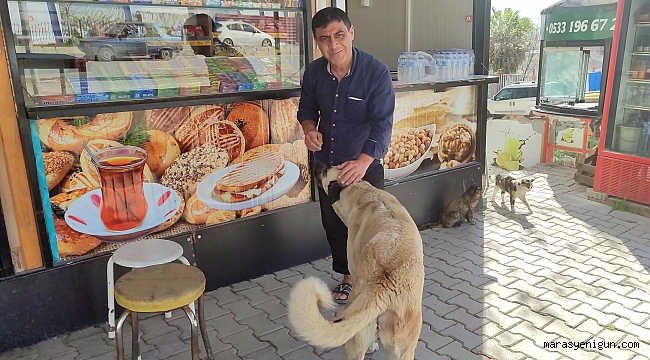 Kahramanmaraşlı esnaf, her gün büfesinin önüne gelen hayvanları besliyor