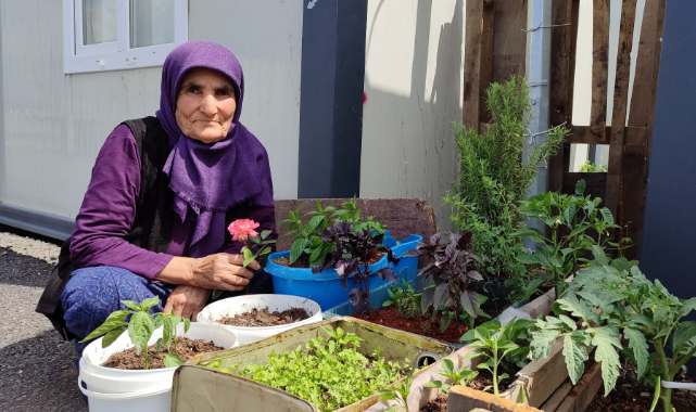 Depremde Evi Yıkılan 76 Yaşındaki Eşe Teyze, Konteynerin Önüne Bahçe Yaptı