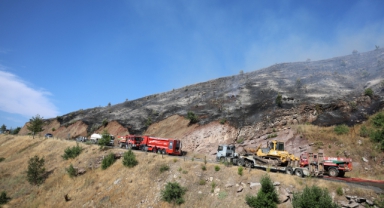 Kahramanmaraş’taki Orman Yangını Kontrol Altına Alındı