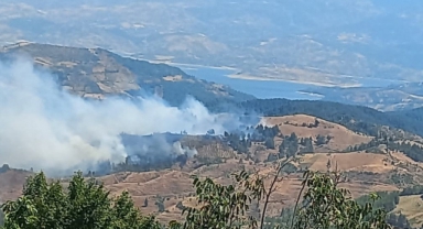 Kahramanmaraş’ta Orman Yangını
