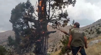 Yıldırım İsabet Etmesi Sonucu Alev Alan Ağaç Söndürüldü