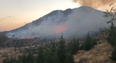 Afşin'de Orman Yangını