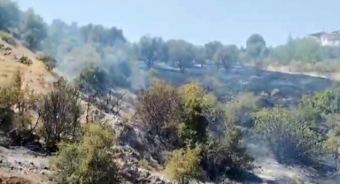 Kahramanmaraş’ta Bahçe Yangını