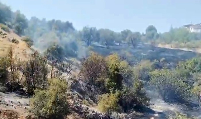 Kahramanmaraş’ta Bahçe Yangını