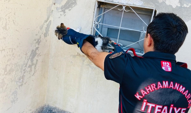 Kahramanmaraş'ta Kedi Sıkıştığı Yerden Kurtarıldı