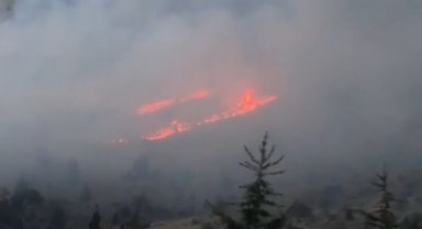 Kahramanmaraş'taki Orman Yangını Kontrol Altına Alındı