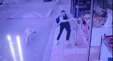 Başıboş Sokak Köpeğinden Kaçtı Düşüp Markete Sığınarak Kurtuldu