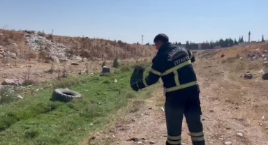 İş Yerine Giren Yılan Yakalanarak Doğaya Bırakıldı