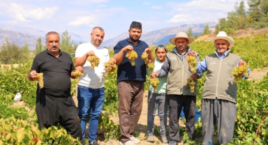 Kahramanmaraş'ta Şıra Telaşı Başladı
