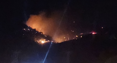 Kahramanmaraş'ta Orman Yangını