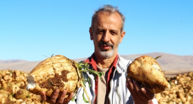 Kahramanmaraş'ta Şeker Pancarı Hasadı Başladı