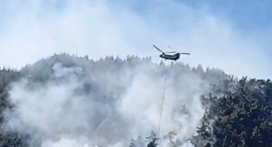 Kahramanmaraş'taki Orman Yangını 4 Gün Sonra Kontrol Altına Alındı