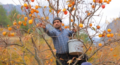 Bahçede 25, Markette 80 Lira