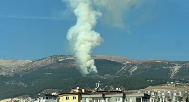 Kahramanmaraş'ta Orman Yangını