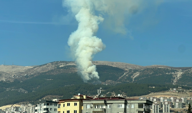 Kahramanmaraş'ta Orman Yangını