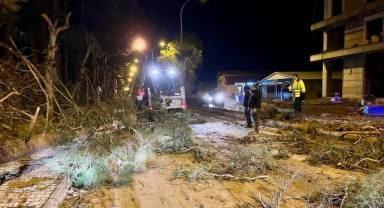 Kahramanmaraş’taki Fırtına Saatte 95 Kilometre Hıza Ulaştı
