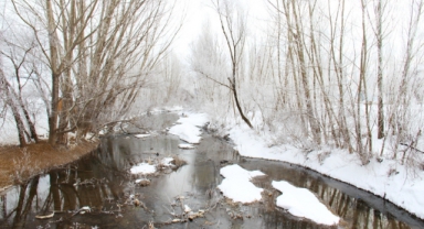 Kahramanmaraş'ta Yağan Kar Görsel Şölen Oluşturdu