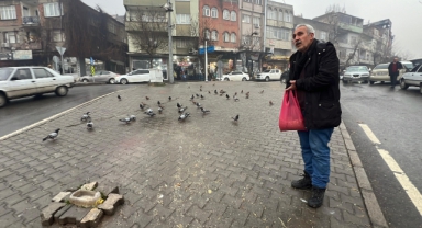 Kahramanmaraşlı Esnaf Depremde Hasar Alan Cami Önündeki Güvercinleri Her Gün Yemliyor