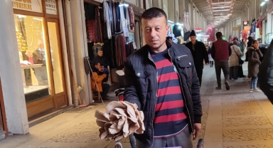Kanser Hastalarının Enfeksiyon Kapma Riskini Azaltan Mantara Rağbet Arttı