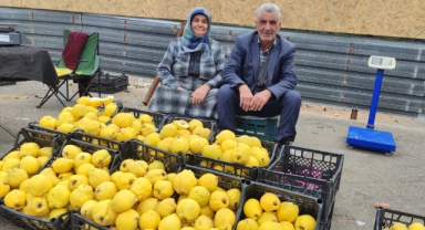 Kendi Bahçesinde Yetiştirdikleri Ayvaları Satarak 7 Çocuk Okuttular
