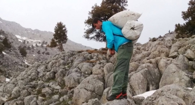 Kahramanmaraş’ta Çiriş Otu Sezonu Başladı