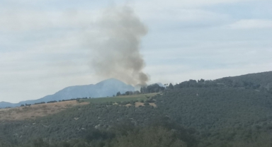 Kahramanmaraş'ta Ormanlık Alanda Çıkan Yangın Söndürüldü