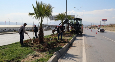Kahramanmaraş’ta Yeşil Doku Güçleniyor