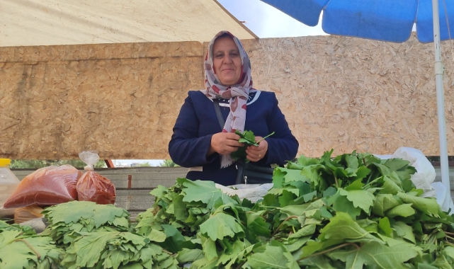 5 Çocuk Annesi, Asma Yaprağı Satarak Aile Ekonomisine Destek Oluyor