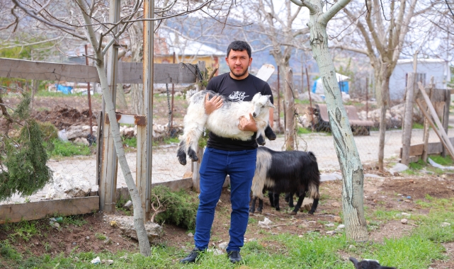 Kahramanmaraş'ta Cevizi Don Vurunca, Üreticileri Farklı Alanlara Yöneldi
