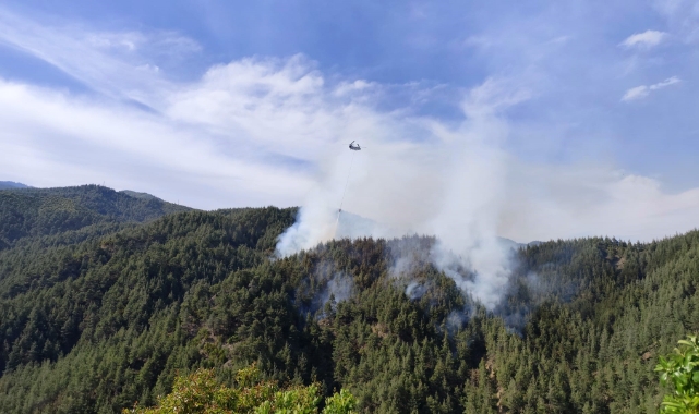 Kahramanmaraş'ta Orman Yangını