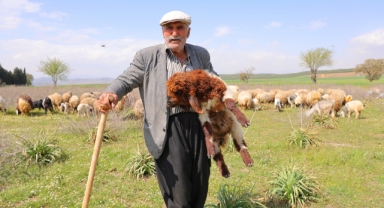 Kendi Hayvanlarına Çobanlık Yapan Hüseyin Dede: