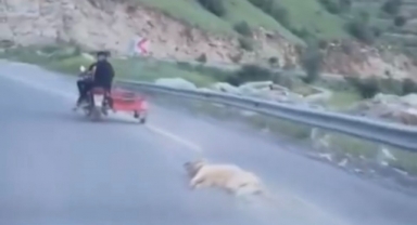 Telef Olan Köpeği Sürükleyen Şahsa 50 Bin Tl Ceza