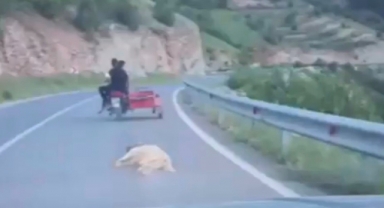 Telef Olduğu İddia Edilen Köpeği Motosikletle Sürüklediler