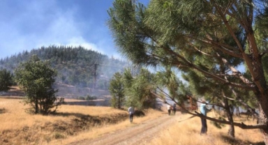 Kahramanmaraş'ta Orman Yangını