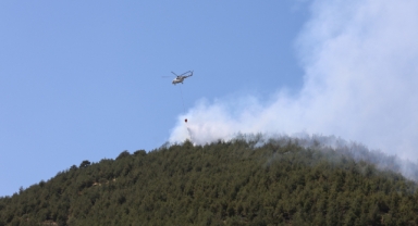 Kahramanmaraş'ta Orman Yangınlarından Biri Kontrol Altına Alındı, Diğeri Sürüyor