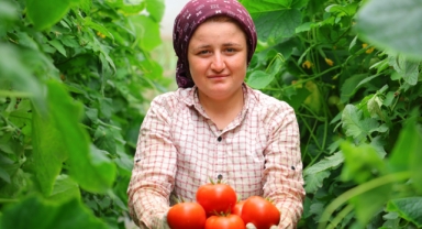 Adının Hakkını Veren Mahalle: Her Mevsim Domates Üretimi Bölgeye Katkı Sağlıyor