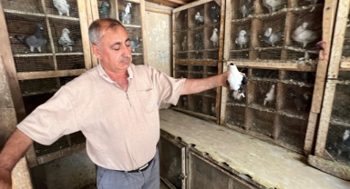 Depremde 170 Güvercini Telef Oldu, Kuş Sevdası Geçmedi