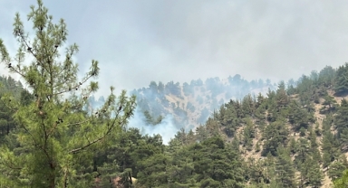 Kahramanmaraş’ta Bin 500 Hektar Alanı Etkileyen Orman Yangını Kontrol Altına Alındı