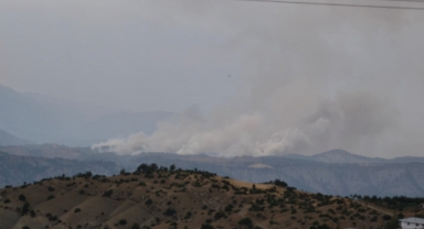 Kahramanmaraş’ta Orman Yangını