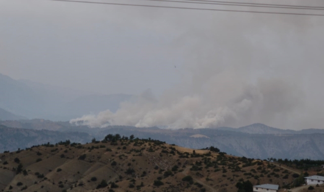 Kahramanmaraş’ta Orman Yangını