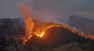 Kahramanmaraş'ta Orman Yangınına Müdahale Sürüyor