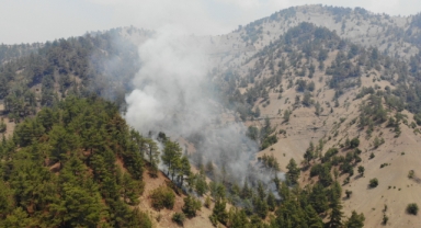 Kahramanmaraş'ta Orman Yangınına Müdahale Sürüyor