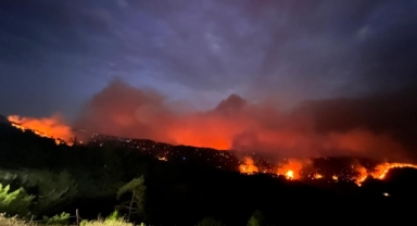Kahramanmaraş'taki Orman Yangınında 4 Ev Yandı, 20 Ev Tahliye Edildi